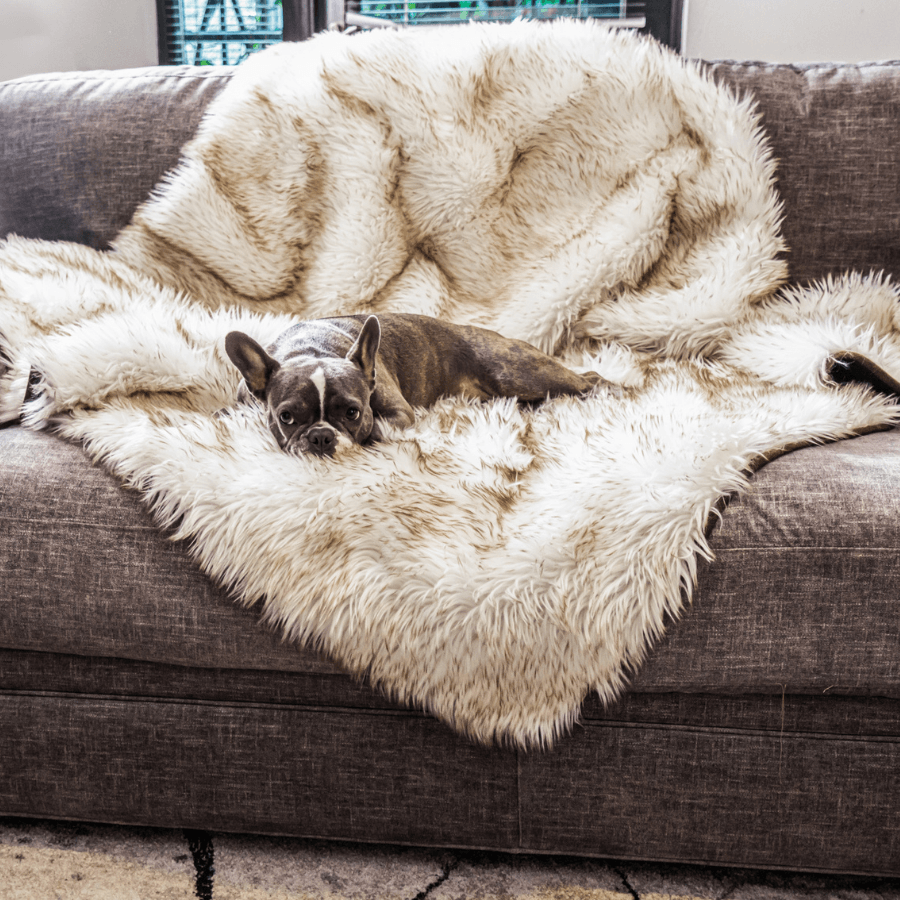 White faux-fur waterproof throw blanket over a dark couch, thick shag pile visible