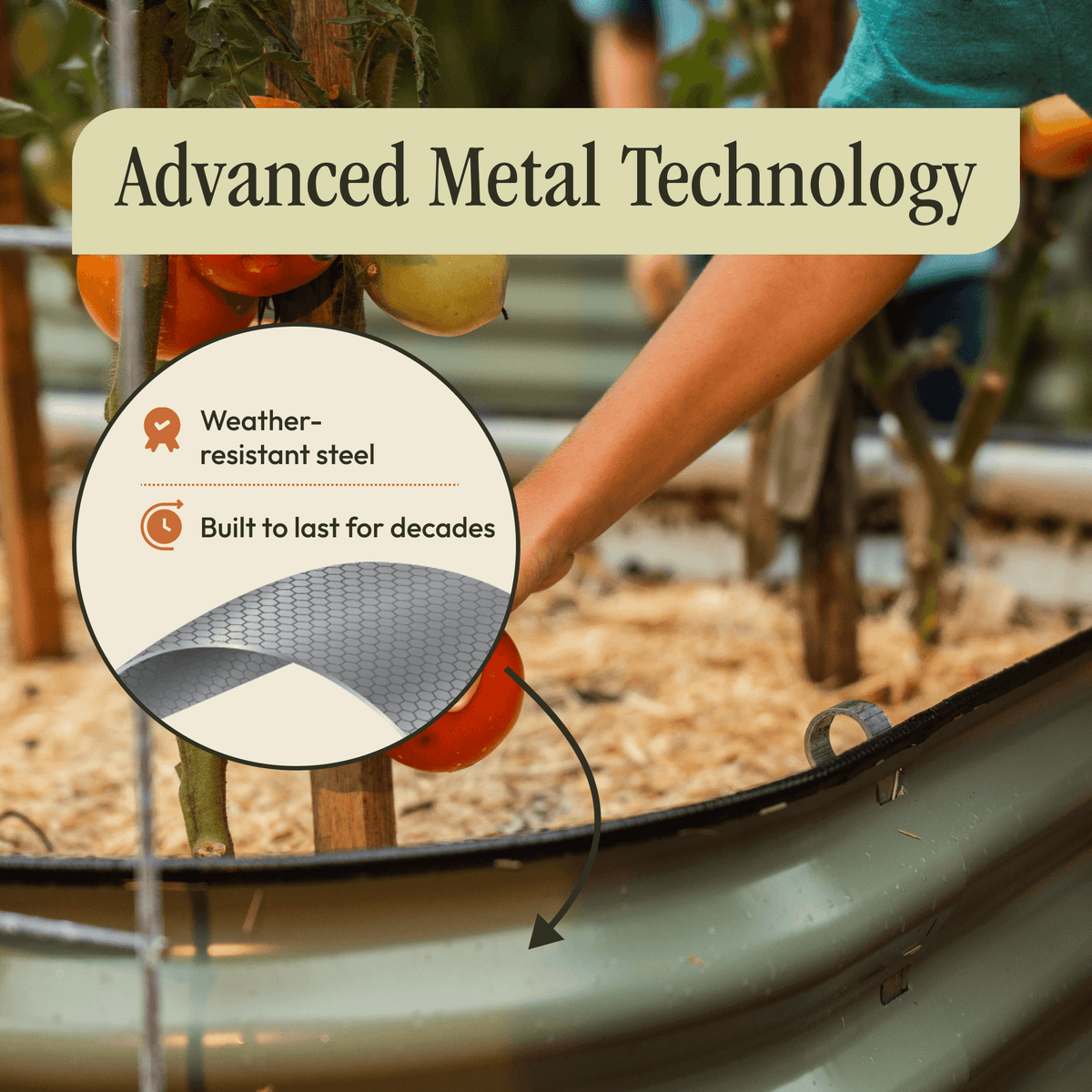 Green metal raised garden bed kit with clear side vinyl edging and internal support bars