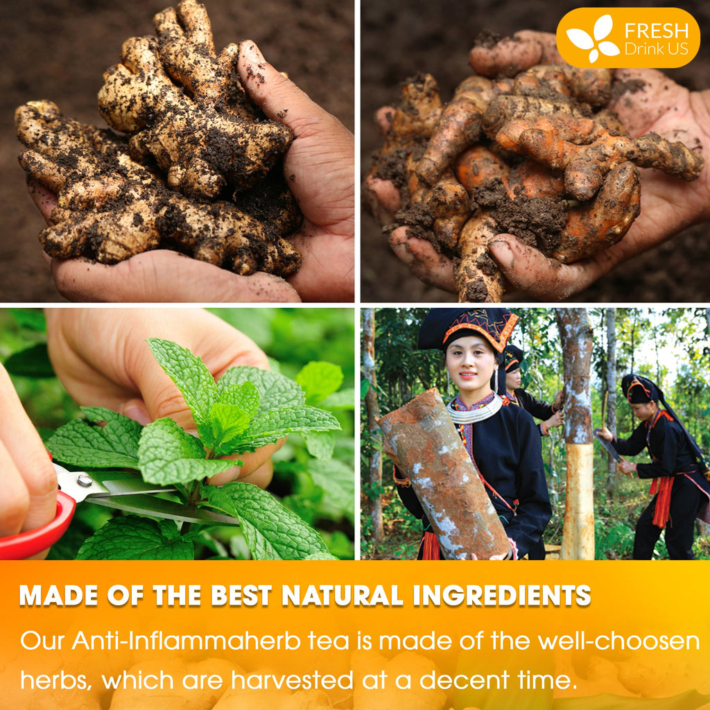 Hands holding ginger and turmeric roots, natural tea ingredient mix