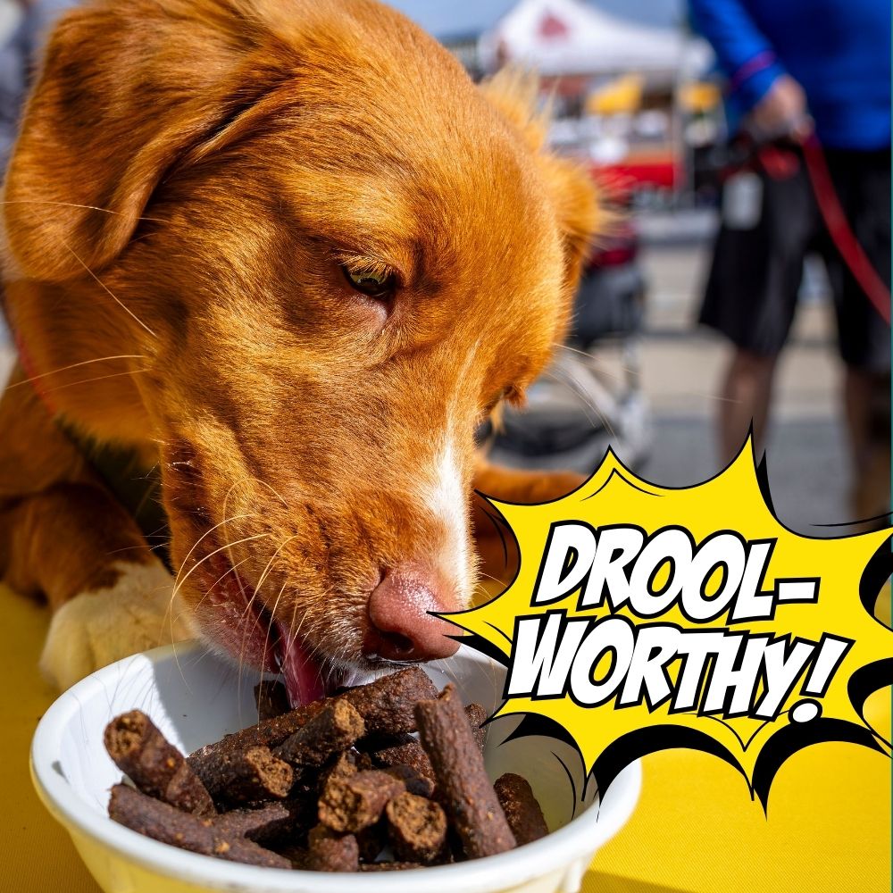 Dog eating crunchy dog treats from a bowl