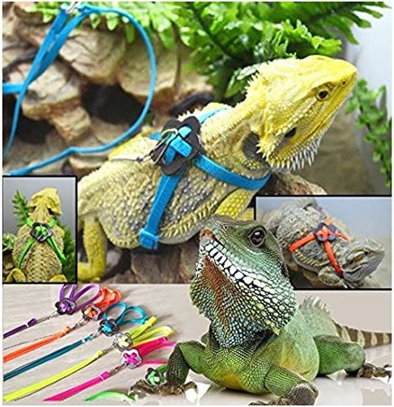 Adjustable reptile harness and leash set in blue, shown on lizards with colorful leash options.