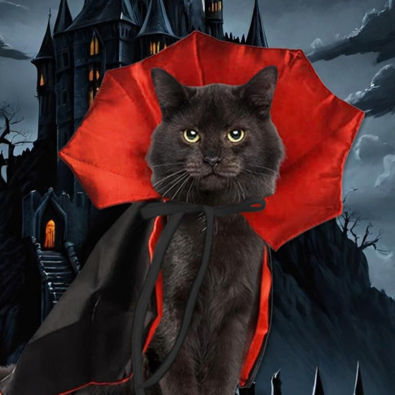 Dark gray cat wearing red bat-collar vampire cloak with black cape