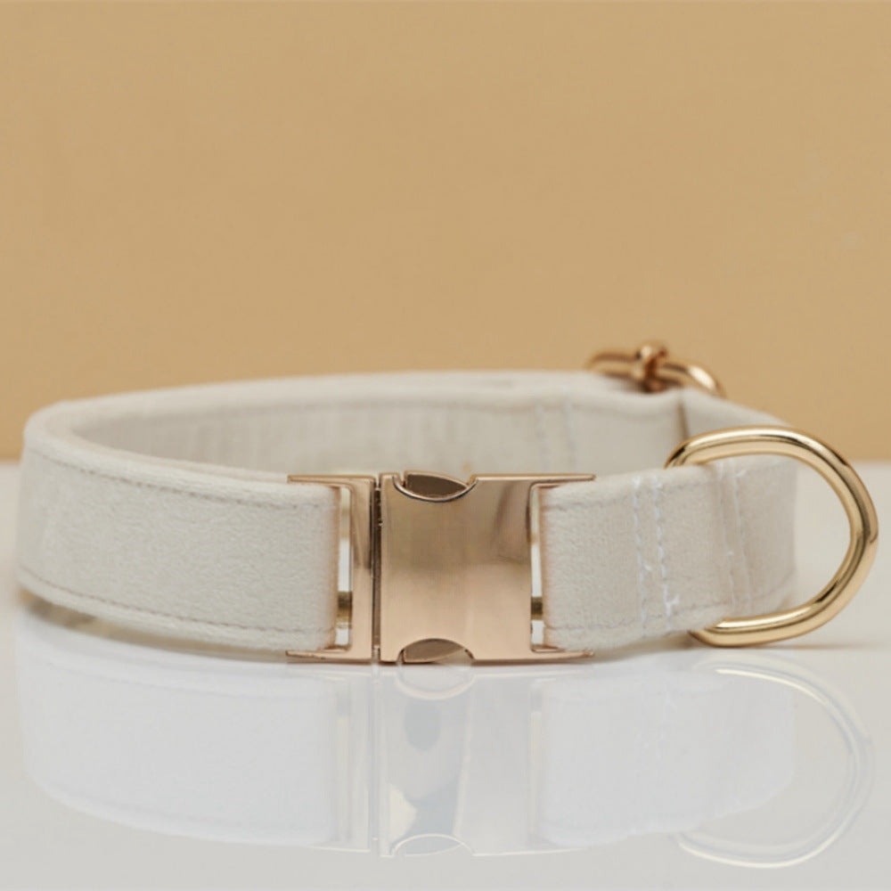 White velvet dog collar close-up with metal clasp and D-ring, gold-tone