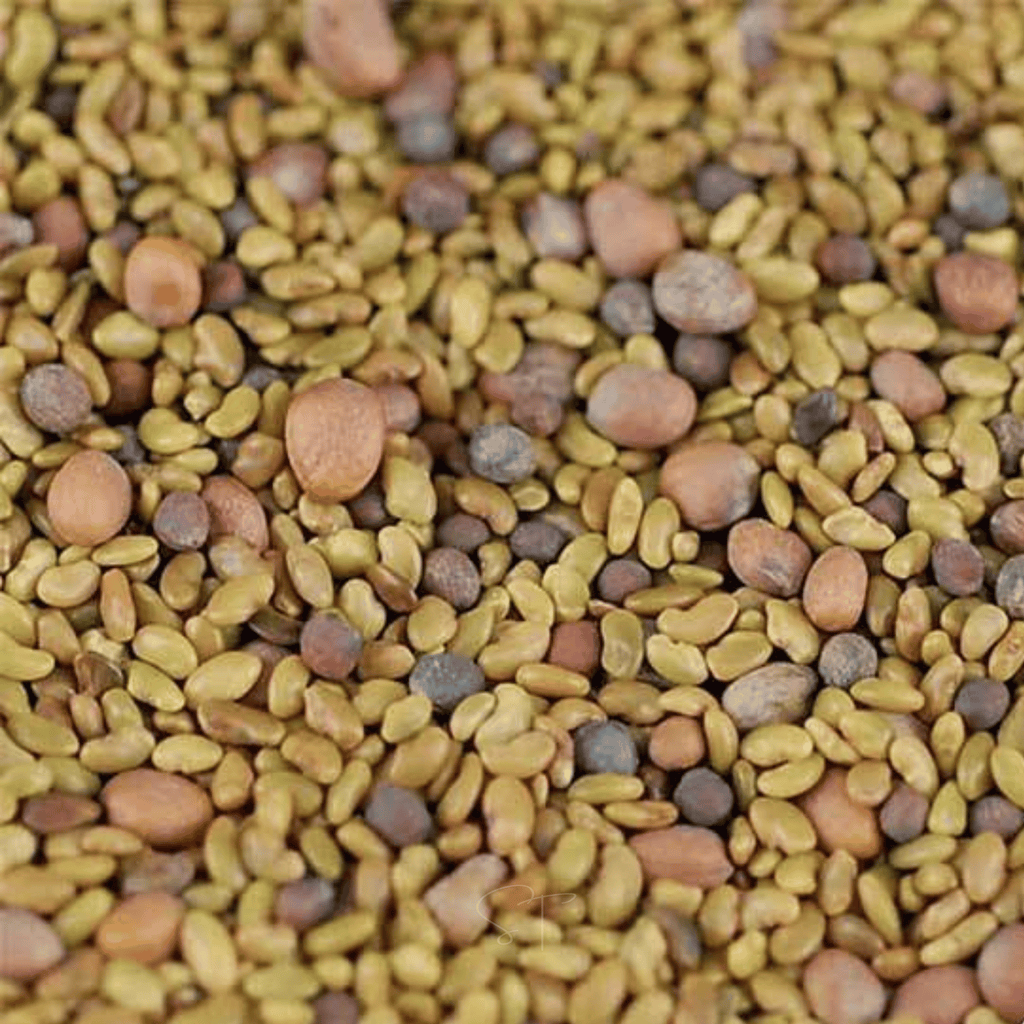 Sprouting seed mix assortment, yellow and brown seeds in close-up