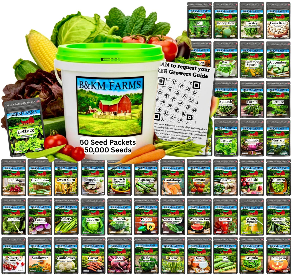 Green-lid seed vault bucket with B&KM FARMS label and assorted vegetable seed packets