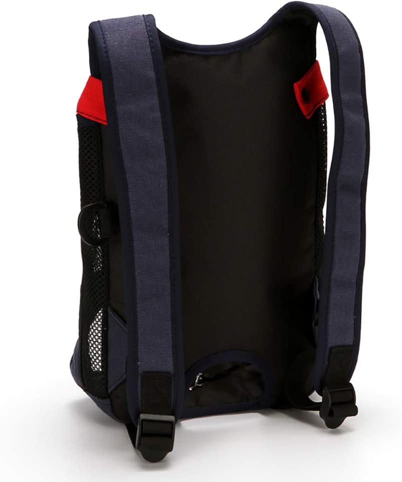 Back view pet carrier backpack with padded black interior and adjustable shoulder straps