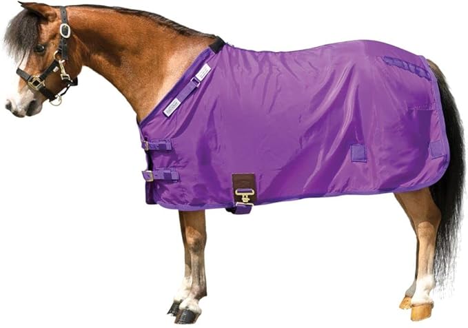 Purple horse stable sheet with front closure and adjustable belly straps