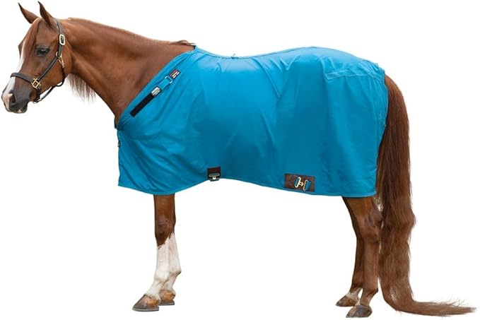 Horse stable sheet, bright blue, full-body coverage with front strap hardware