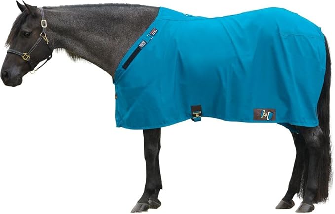 Horse stable sheet on horse, teal-blue outer with front closures and leg straps