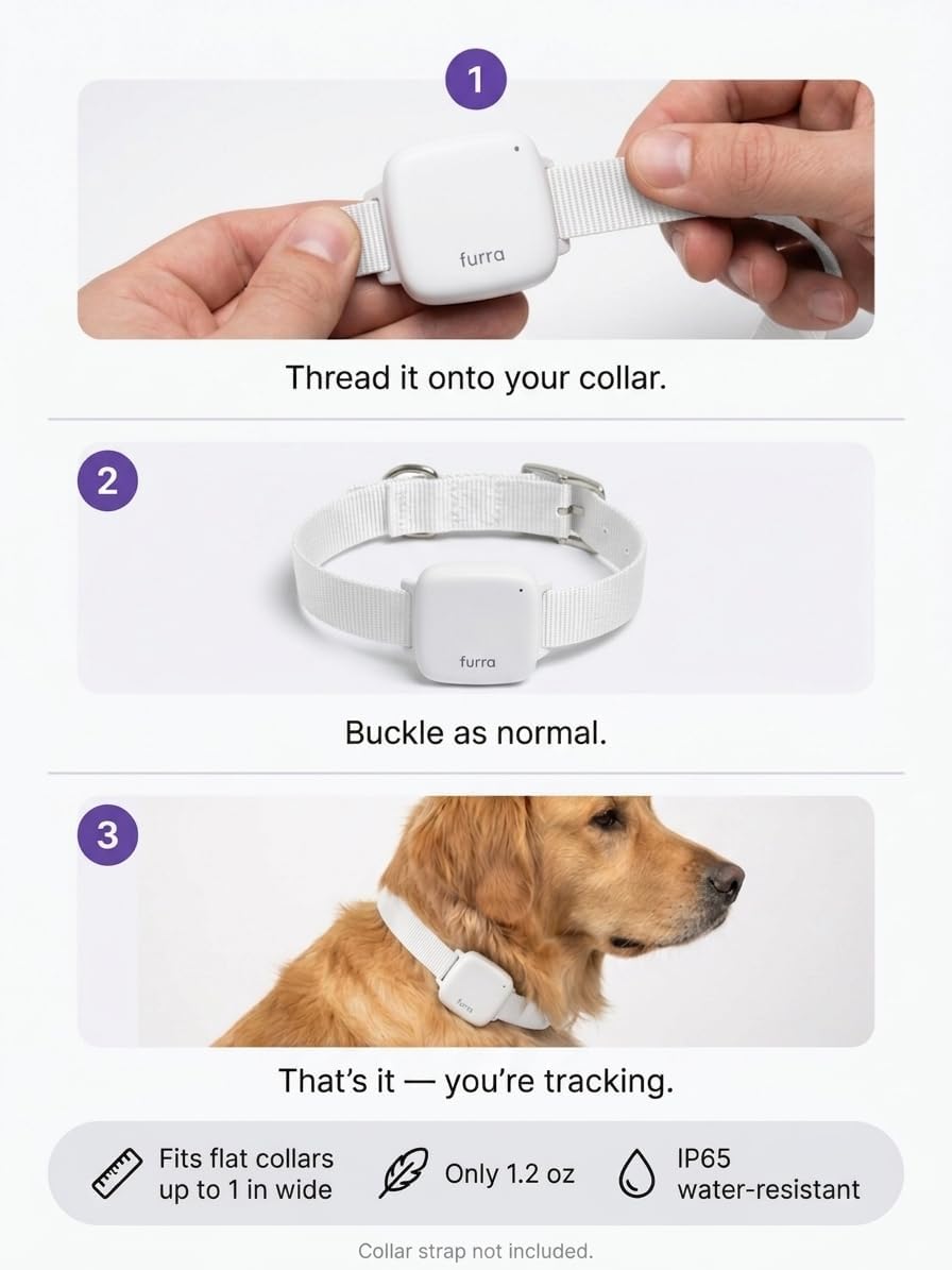 White pet tracker threaded onto a collar strap and buckled in place