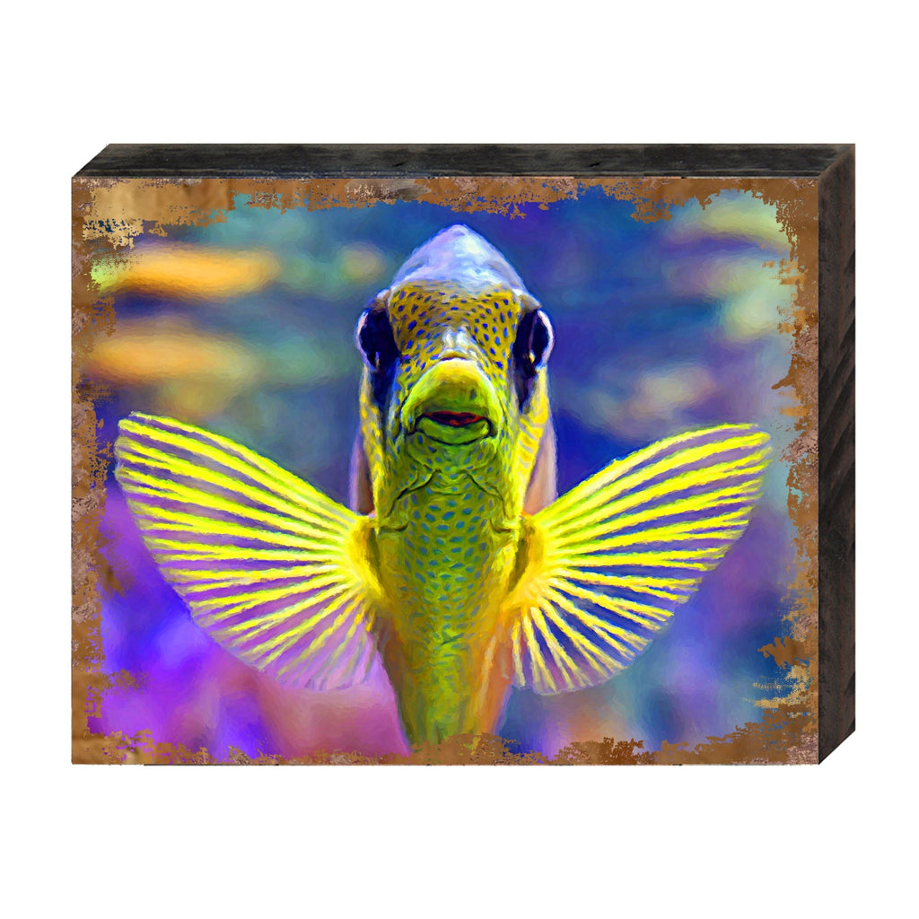Rectangular framed wall art featuring a winged tropical fish, bright coastal color print.