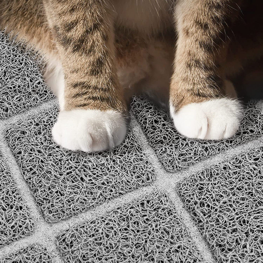 Close-up of a cat's paws on the textured gray litter mat
