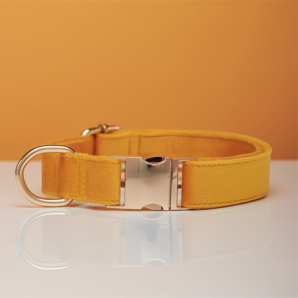 Yellow velvet dog collar close-up with buckle and D-ring, gold-tone hardware