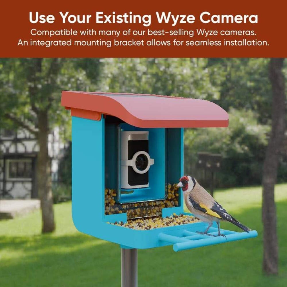 Blue bird feeder with coral roof, camera, and front bird perch