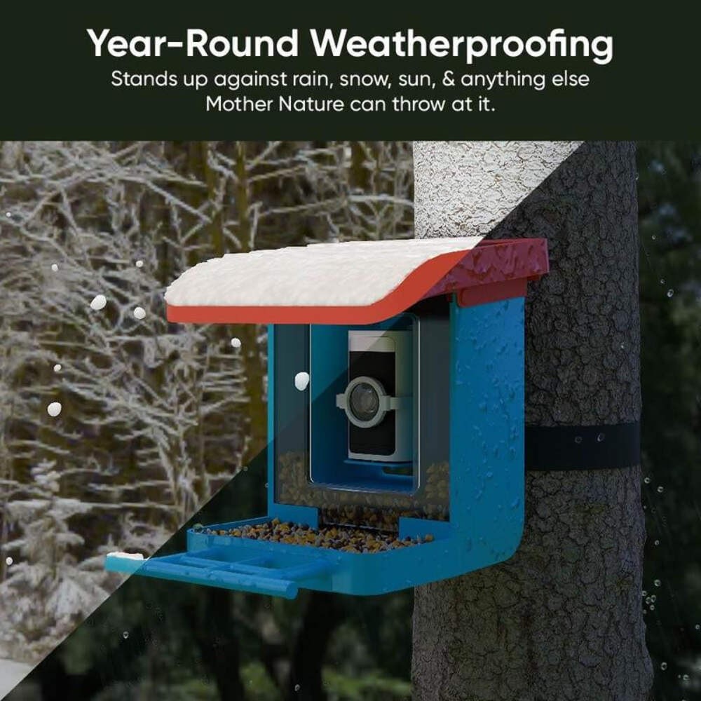 Blue bird feeder with camera mounted to a tree for outdoor use