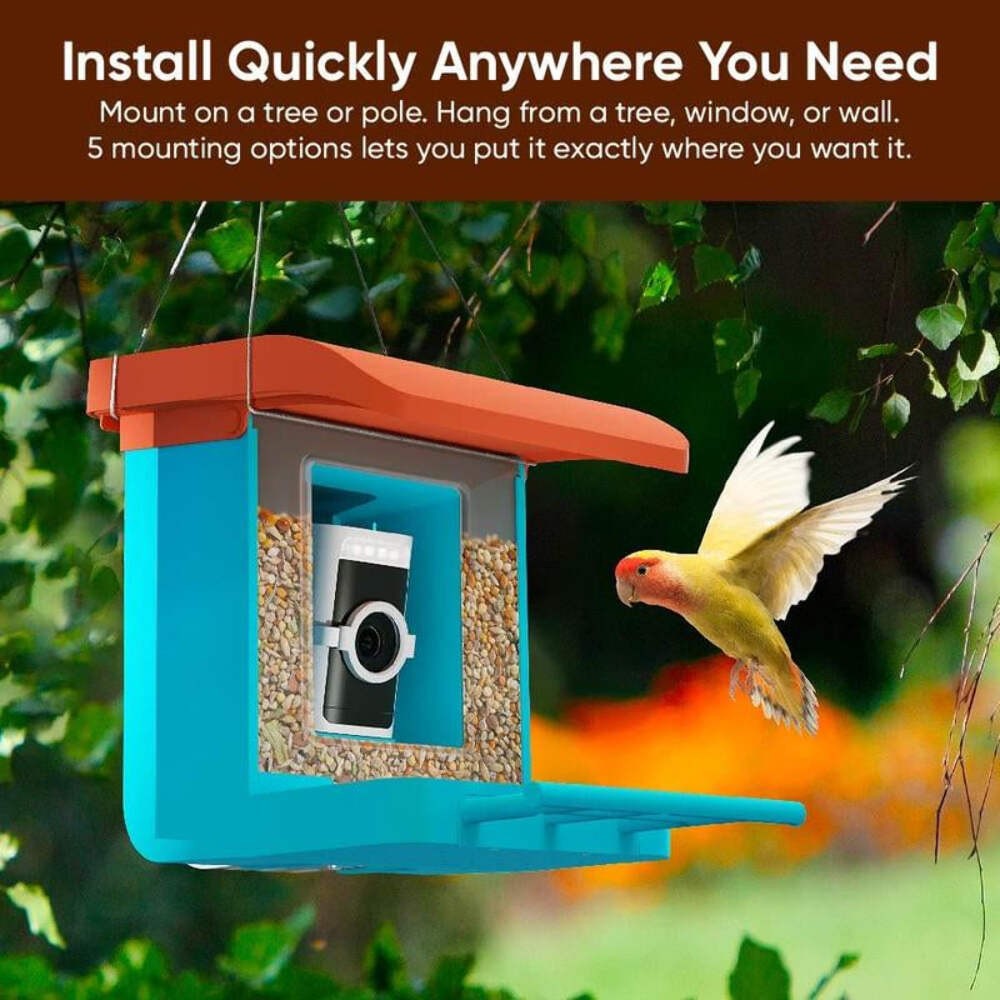 Blue bird feeder with coral roof and mounted wireless camera