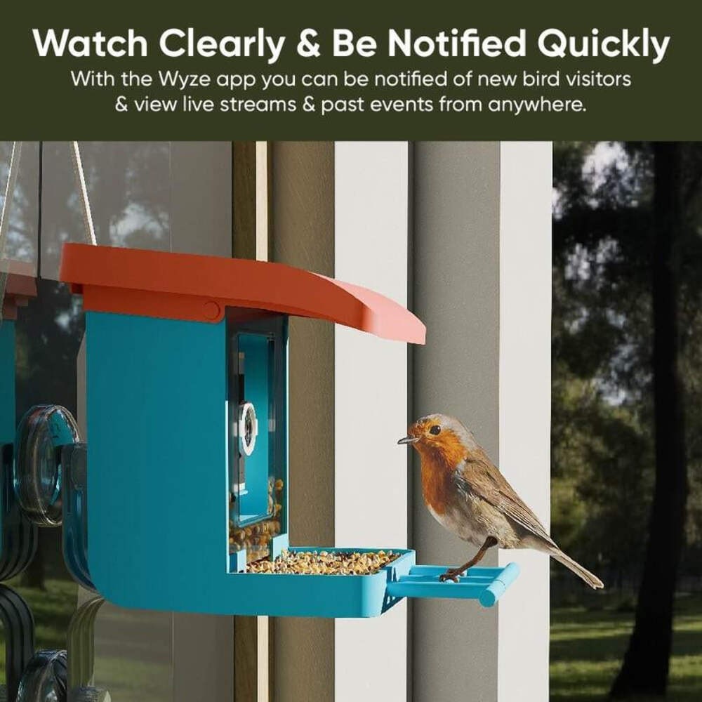 Side view of blue bird feeder with camera and front perch