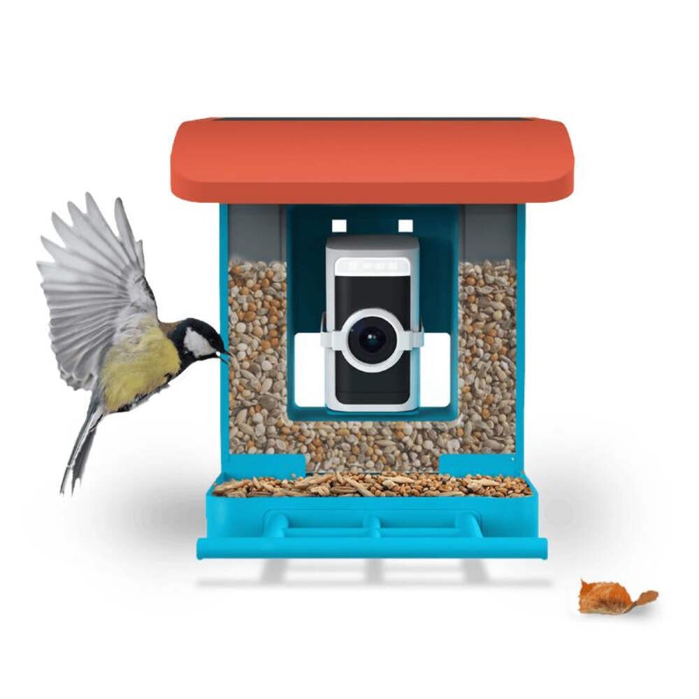 Front view of blue bird feeder with camera and seed compartments