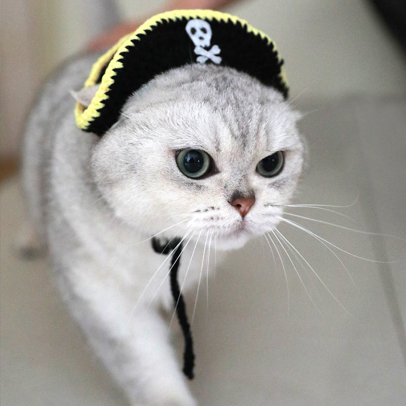 Handmade pirate pet hat on cat close-up, black fabric with yellow edging and skull emblem