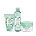 Mint skincare set: cleanser tube, cleansing bottle, and gel jar