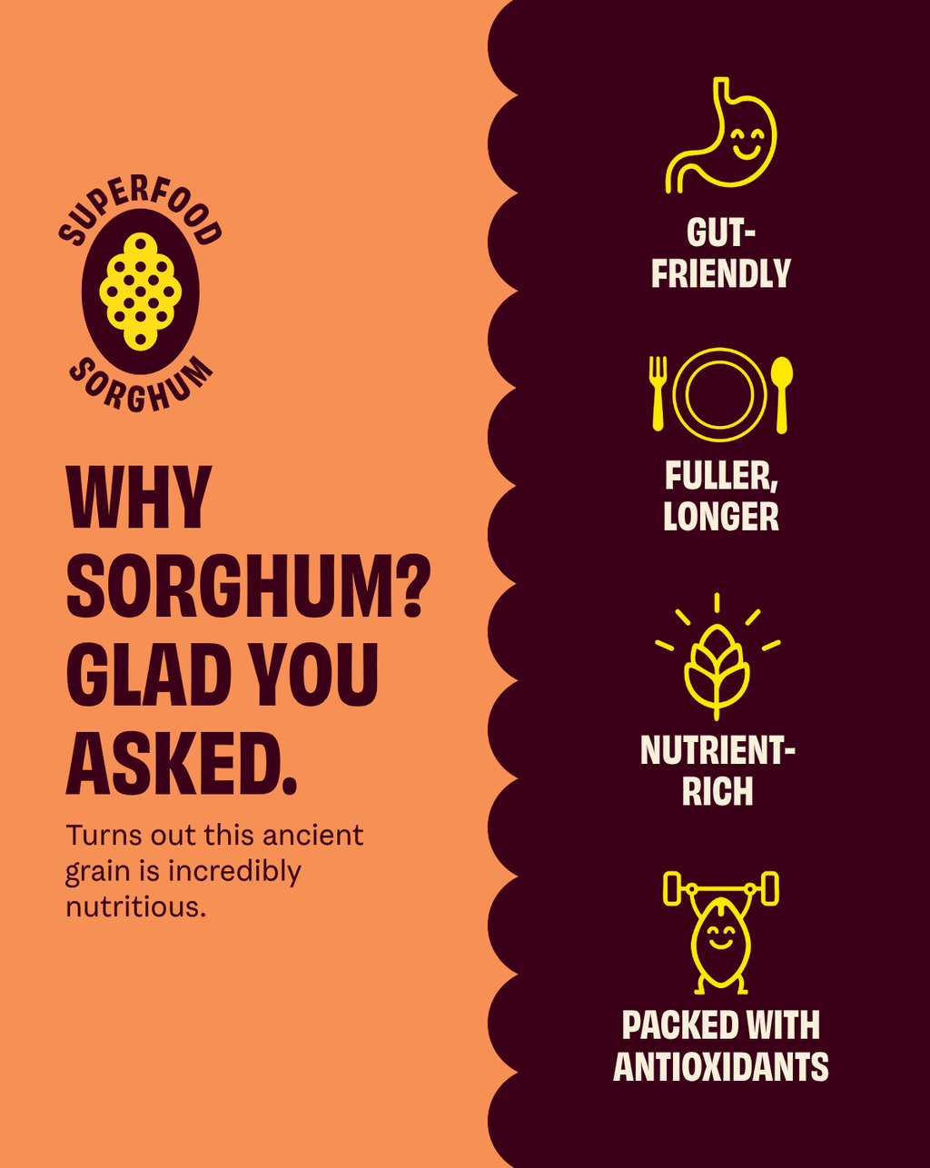 Sorghum benefits infographic: gut-friendly, fuller longer, nutrient-rich, antioxidants