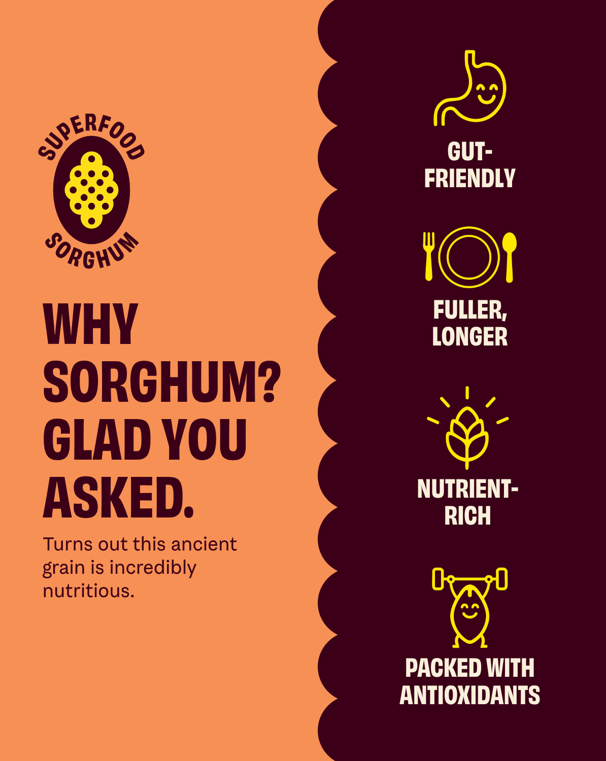 Sorghum benefits infographic: gut-friendly, fuller longer, nutrient-rich, antioxidants