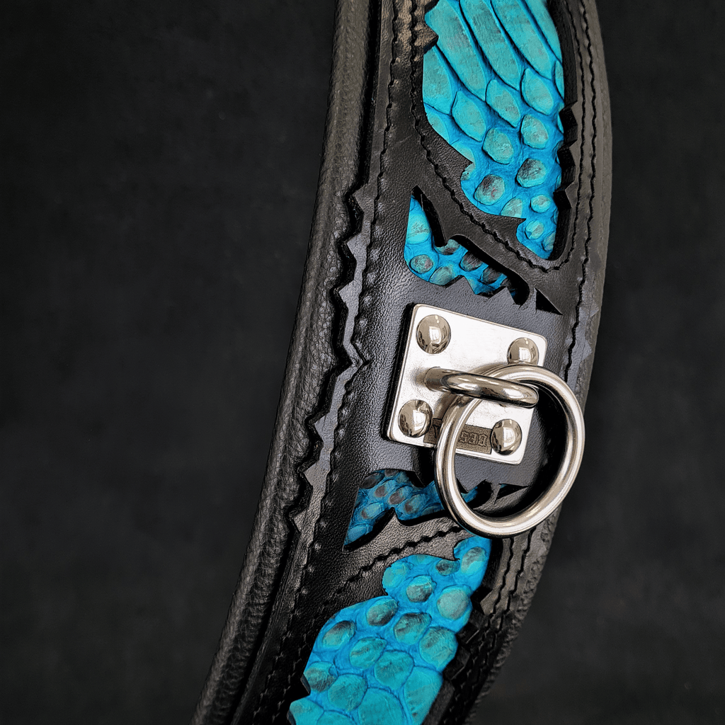 Black leather dog collar with bright blue python-scale inlay and metal D-ring