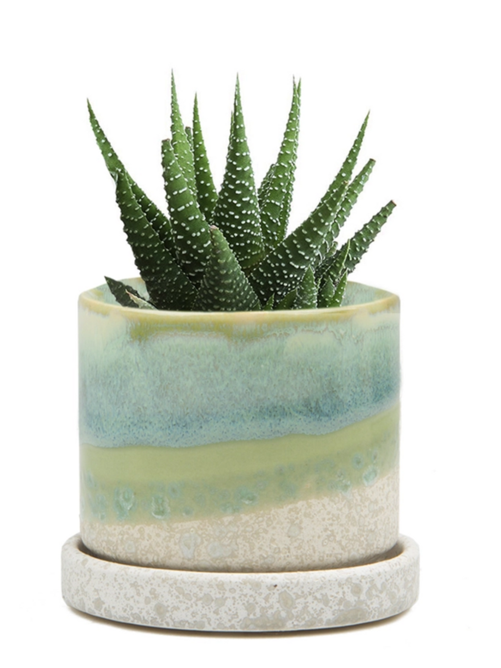 Ceramic plant pot and saucer with pale green-blue glaze and spiky cactus