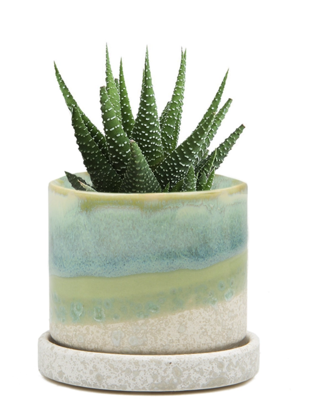 Ceramic plant pot and saucer with pale green-blue glaze and spiky cactus