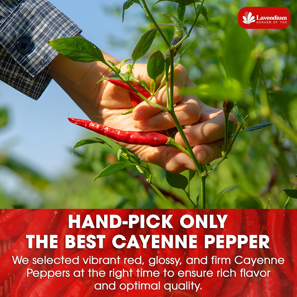 Hands holding fresh cayenne pepper plants with red and green chili pods