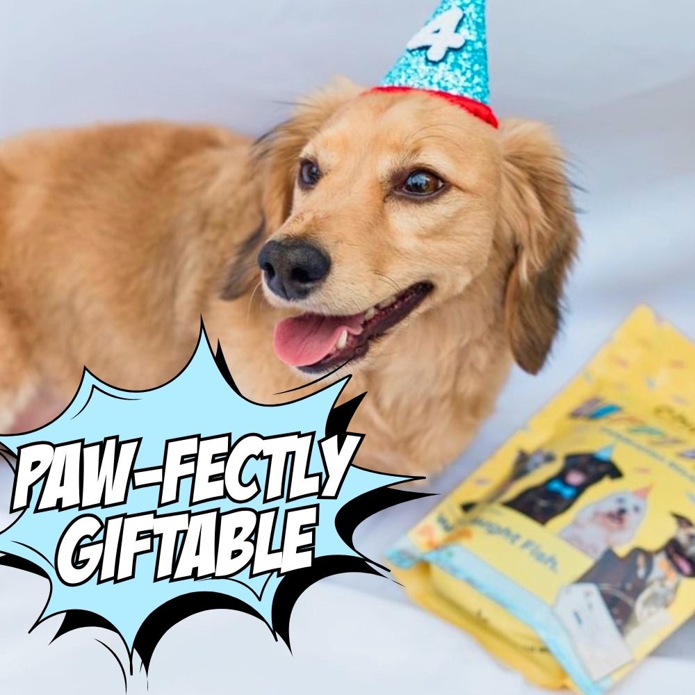 Golden dog wearing a birthday party hat with yellow dog treat pouch