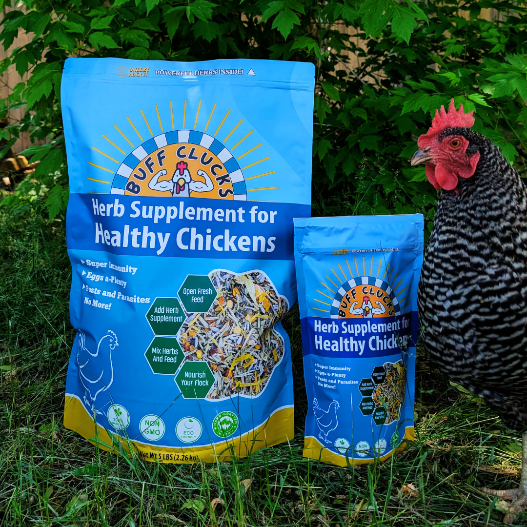 Herb supplement pouches for healthy chickens, large and small, outdoors with a hen nearby