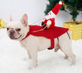 Dog wearing red hooded Santa costume with plush rider and hanging rope reins