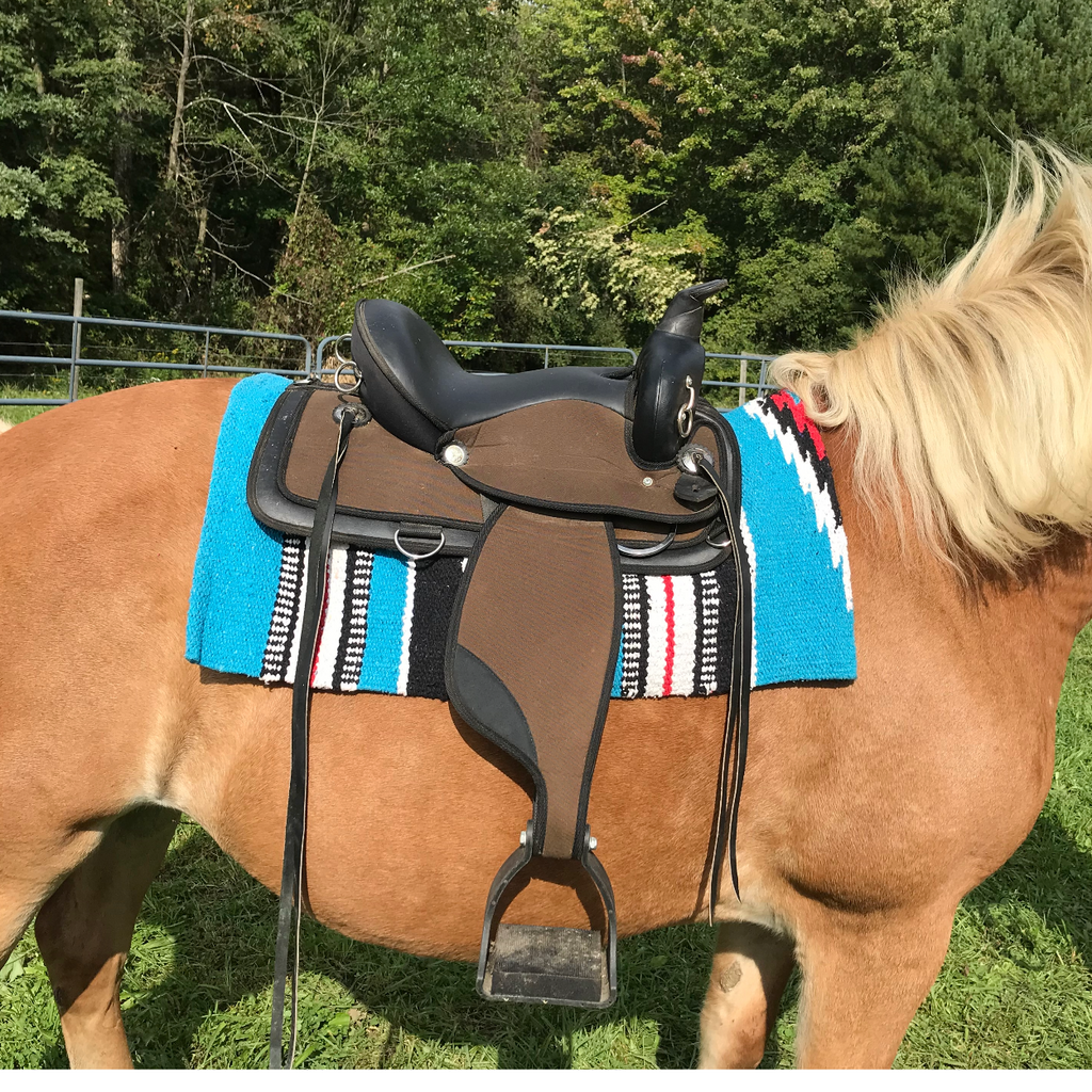 Western saddle blanket on horse saddle, blue and black stripes with white star design