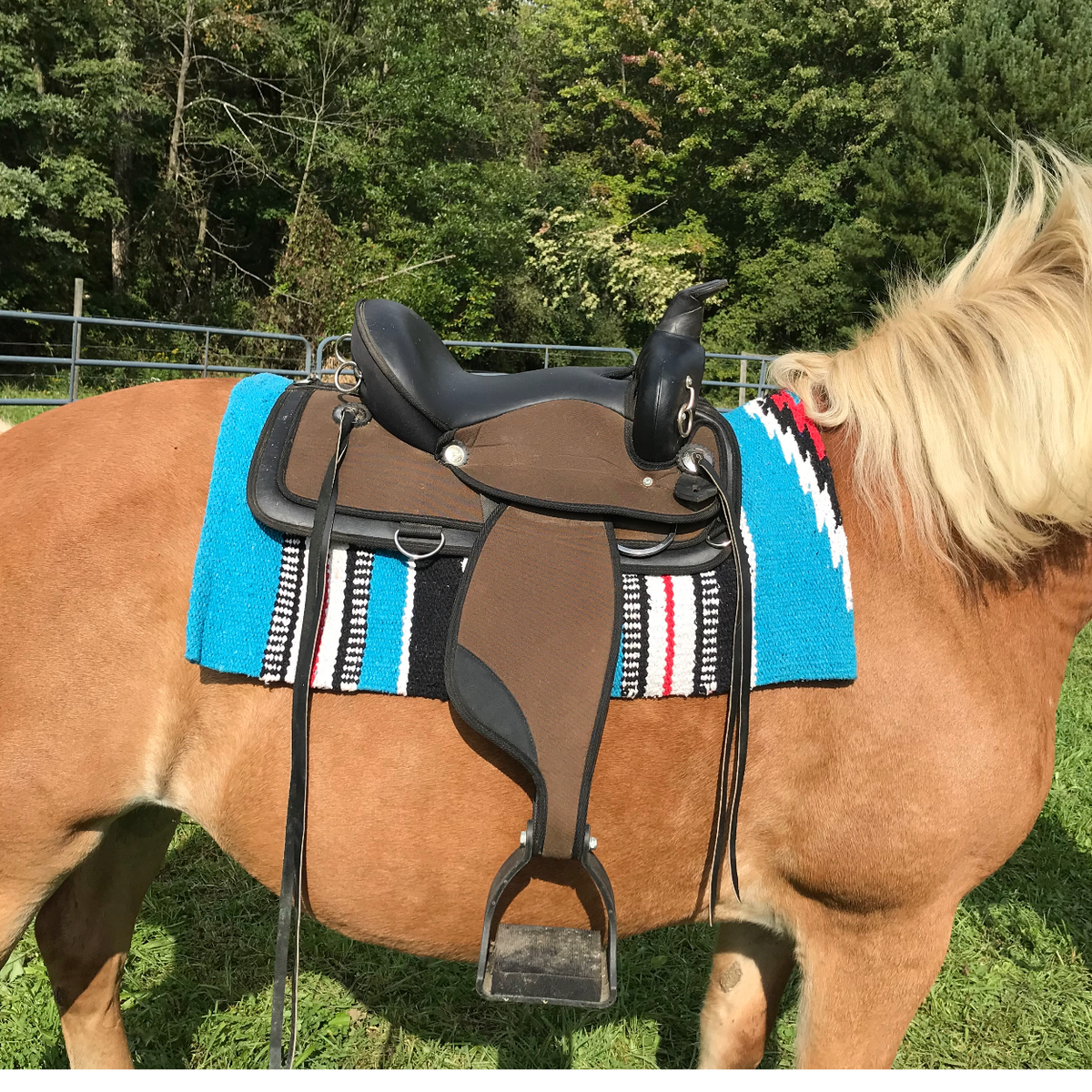 Western saddle blanket on horse saddle, blue and black stripes with white star design