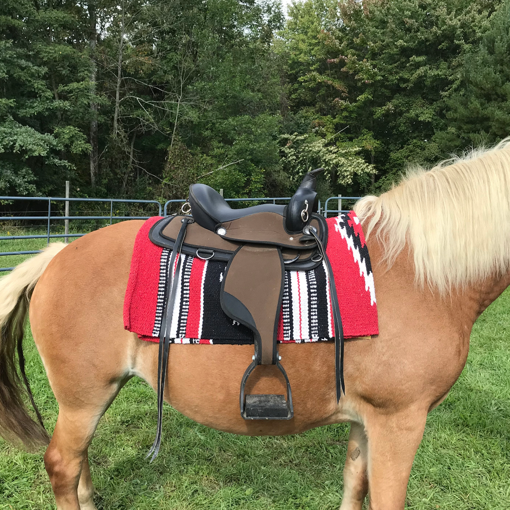 Western saddle blanket on horse saddle, red and black stripes with white star pattern