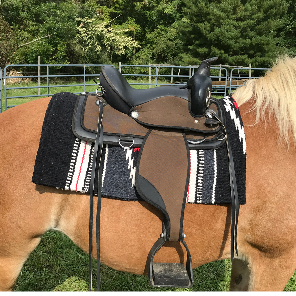 Western saddle blanket on saddle, black and white stripes with red accent and star motif