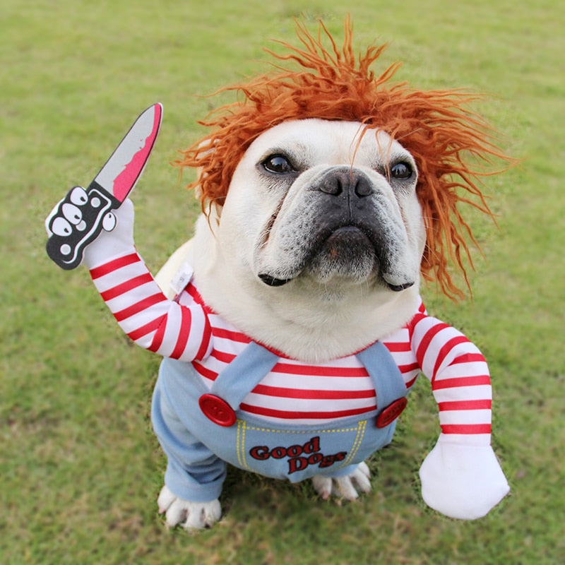 Pet dog Halloween costume with orange plush hood, red-and-white striped arms, and light blue overalls