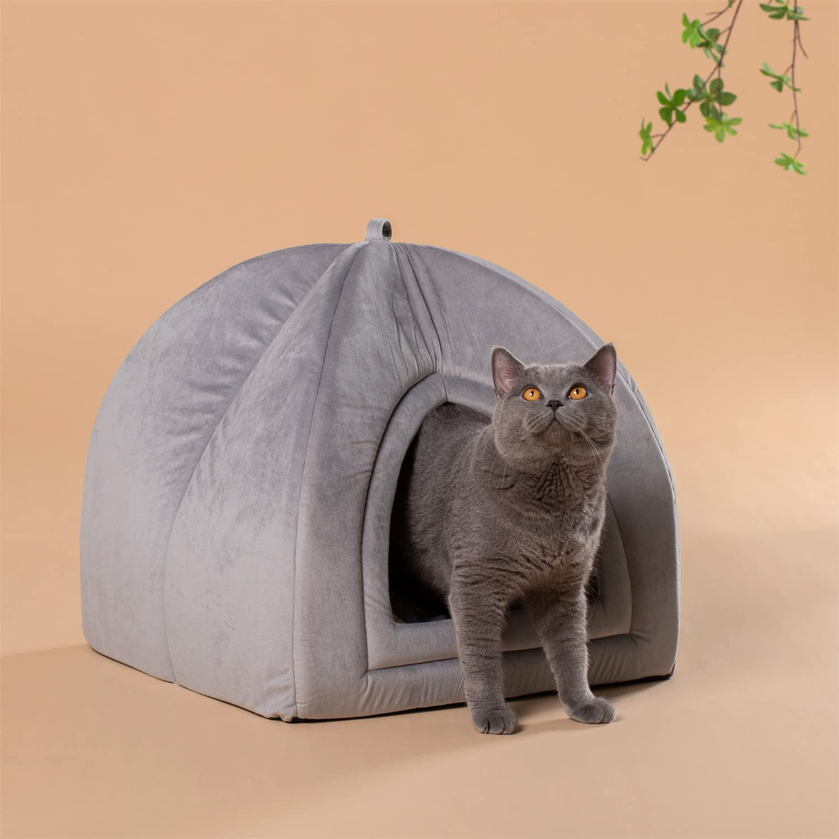 Gray soft cat tent bed with arched doorway and gray cat sitting inside