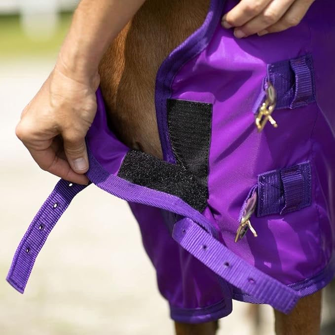 Purple horse blanket sheet with leg strap and black fleece lining