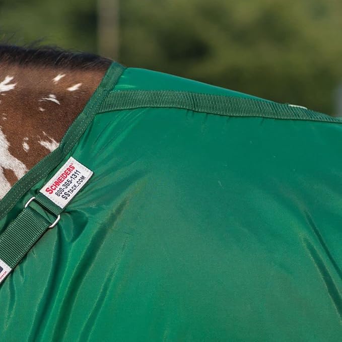Green horse blanket neckline area with stitched border and metal buckle strap