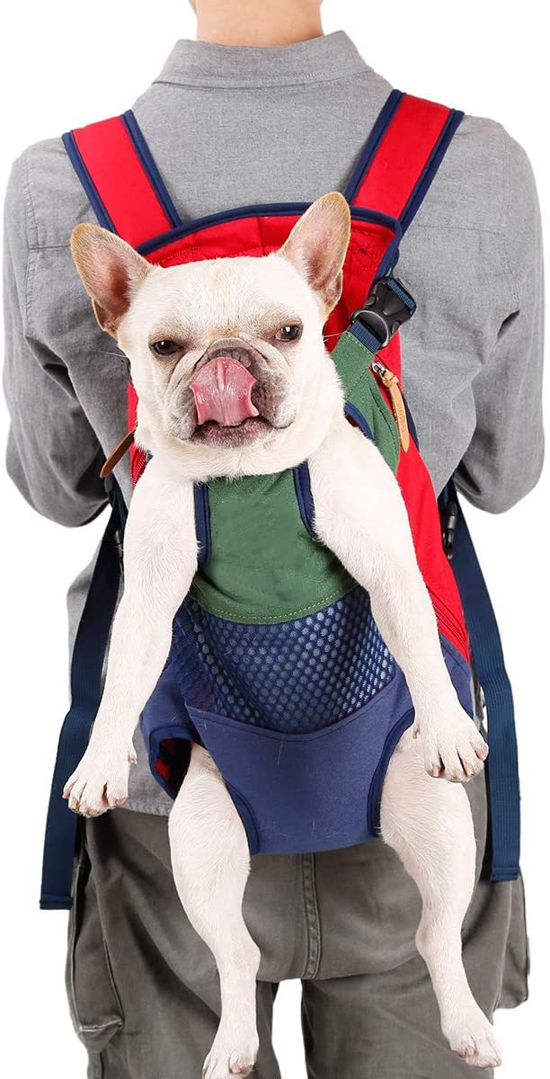 Pet carrier backpack with green and red accents, navy mesh panel, and shoulder straps