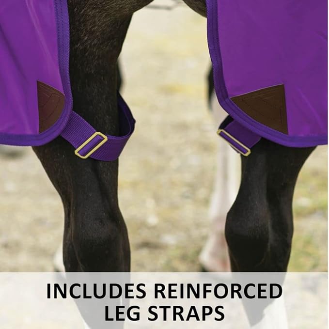 Purple horse leg straps attached to front sheet, showing buckles and webbing.