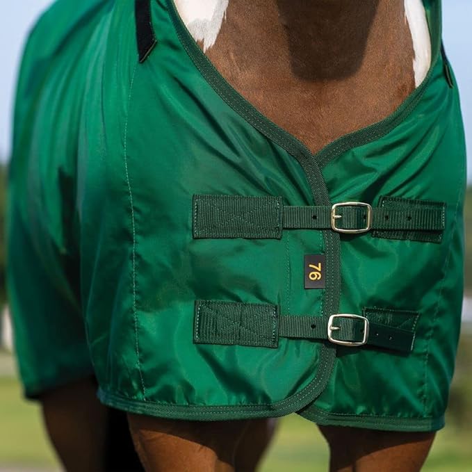 Green stable sheet with two front buckle straps and cross surcingle webbing