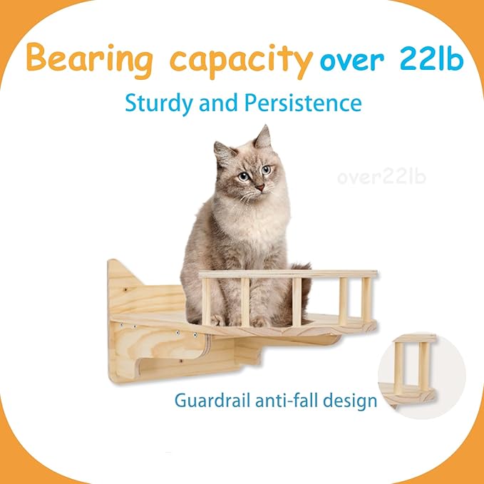 Gray cat on a wall-mounted wooden shelf with guardrail detail