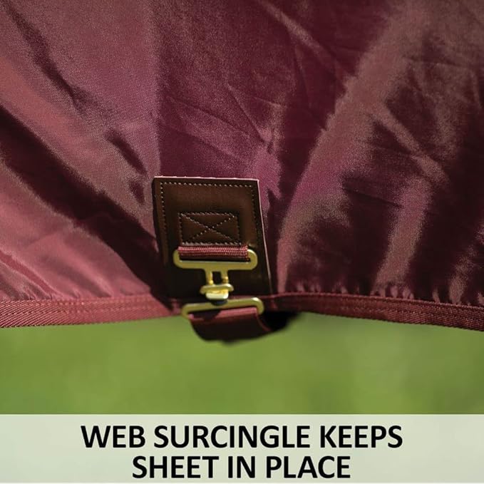 Burgundy horse stable sheet showing web surcingle and front buckle close-up