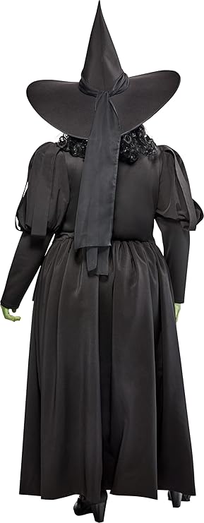 Plus-size witch costume dress with wide pointed black hat and draped black cape, back view