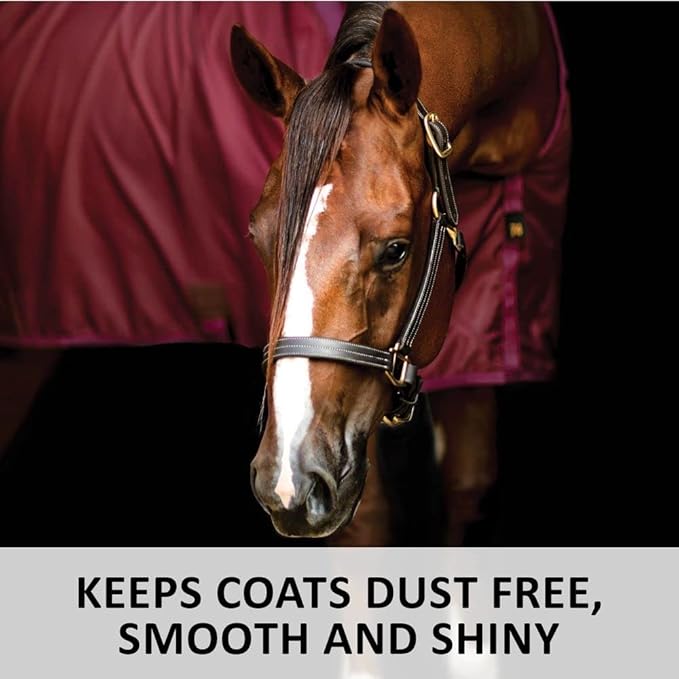 Horse stable sheet on horse head, burgundy cover with chest wrap and straps