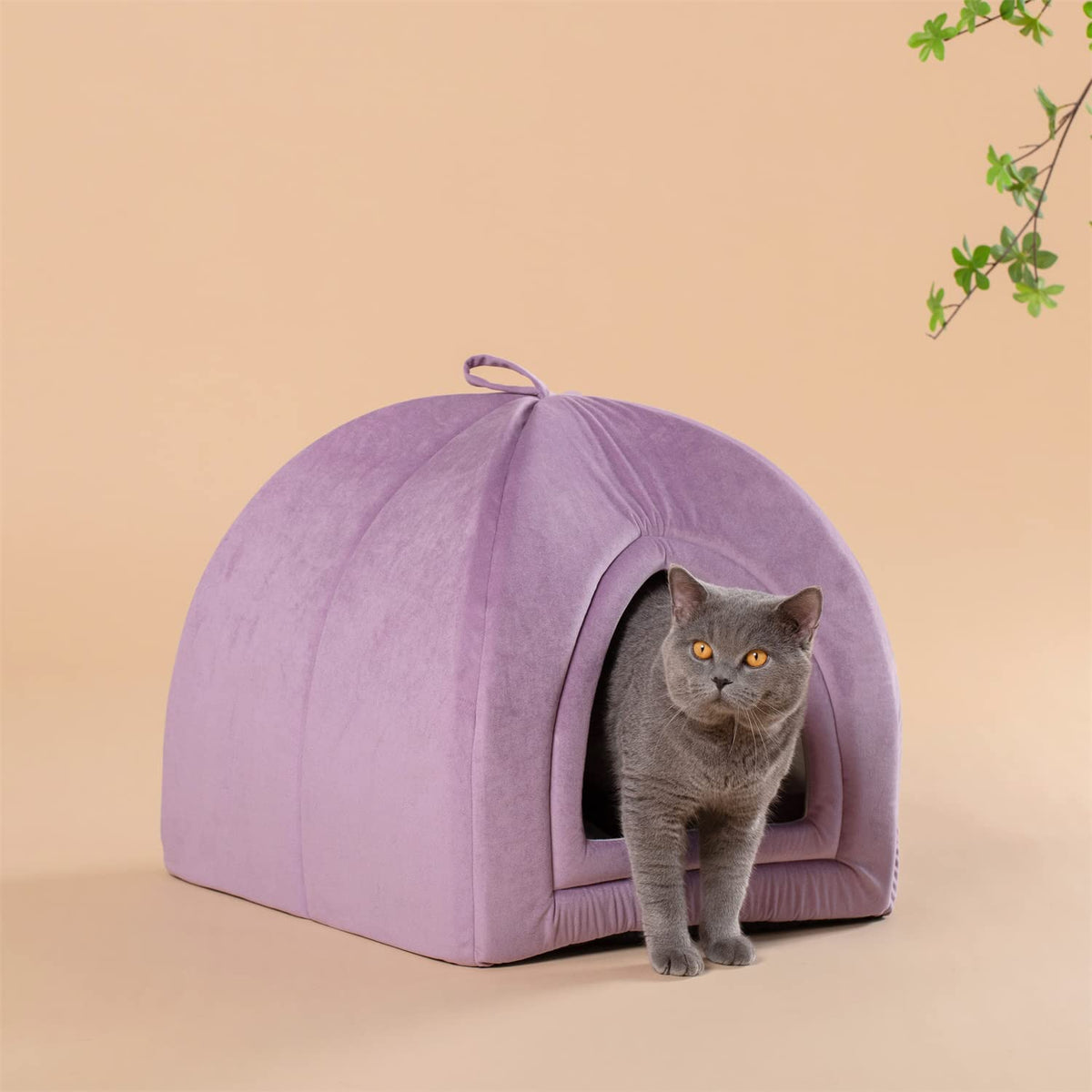 Kasentex soft cat bed cushion in purple, rounded tent with open front tunnel opening