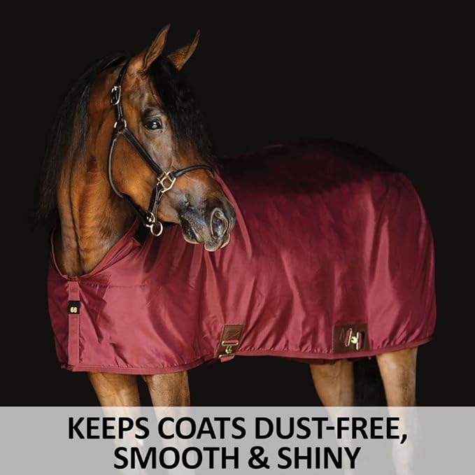 Horse stable sheet, deep maroon, full-body coverage with front and side buckles